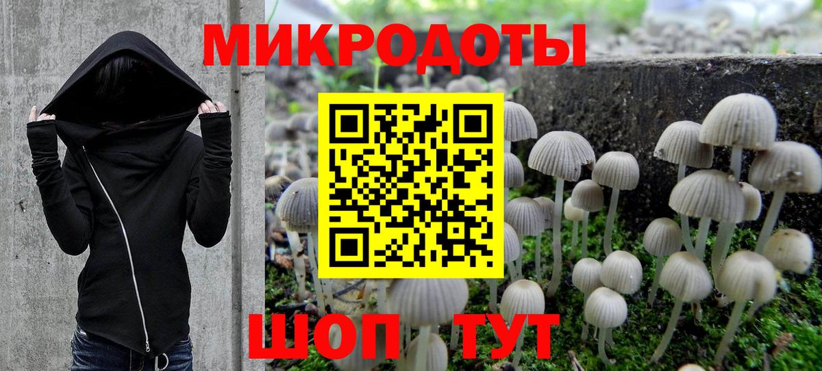 Псилоцибиновые грибы прущие грибы  Галлюциногенные грибы GOLDEN TEACHER  Вход с VPN  Подольск 